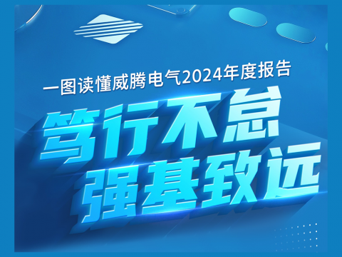 一图读懂银娱优越会电气2024年度报告